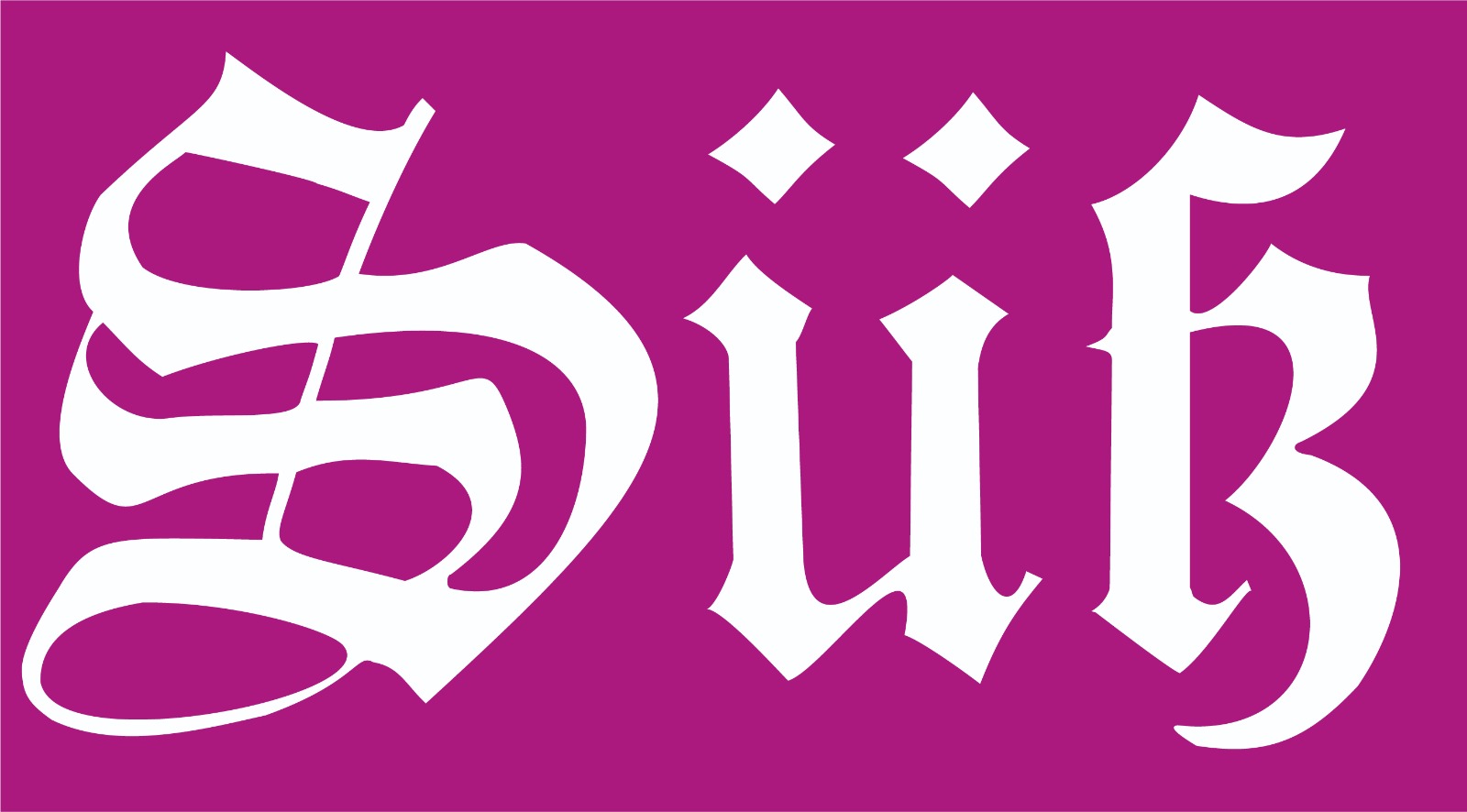 Süß Gerüstbau Cuxhaven Logo